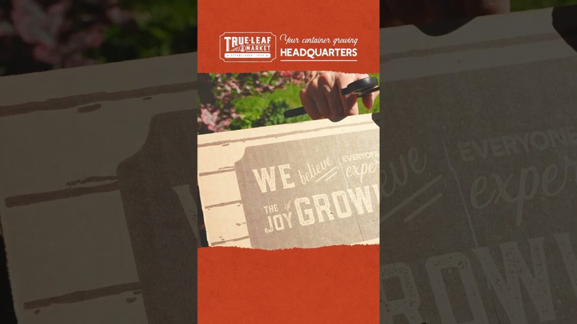 True Leaf Market – Your Container Gardening Headquarters! True Leaf Market - Your Container Gardening Headquarters!