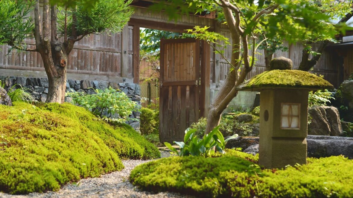 Strength born of gentleness | Moss garden