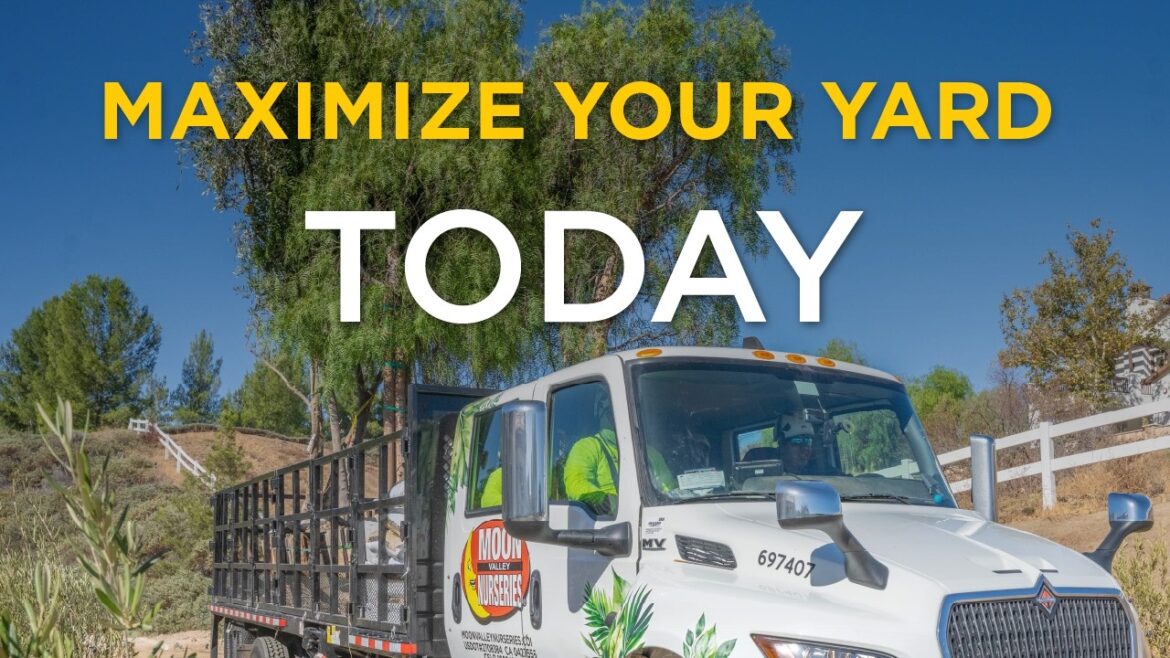 Your Dream Landscape Maximized