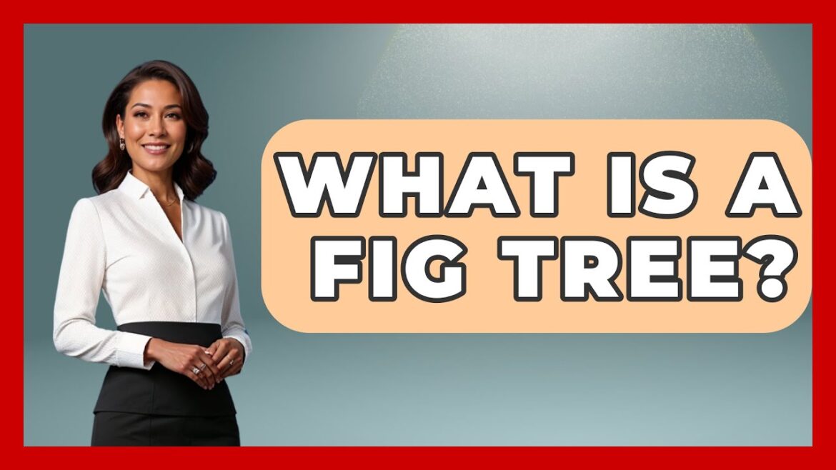 What Is A Fig Tree? – The Plant Enthusiast What Is A Fig Tree? - The Plant Enthusiast