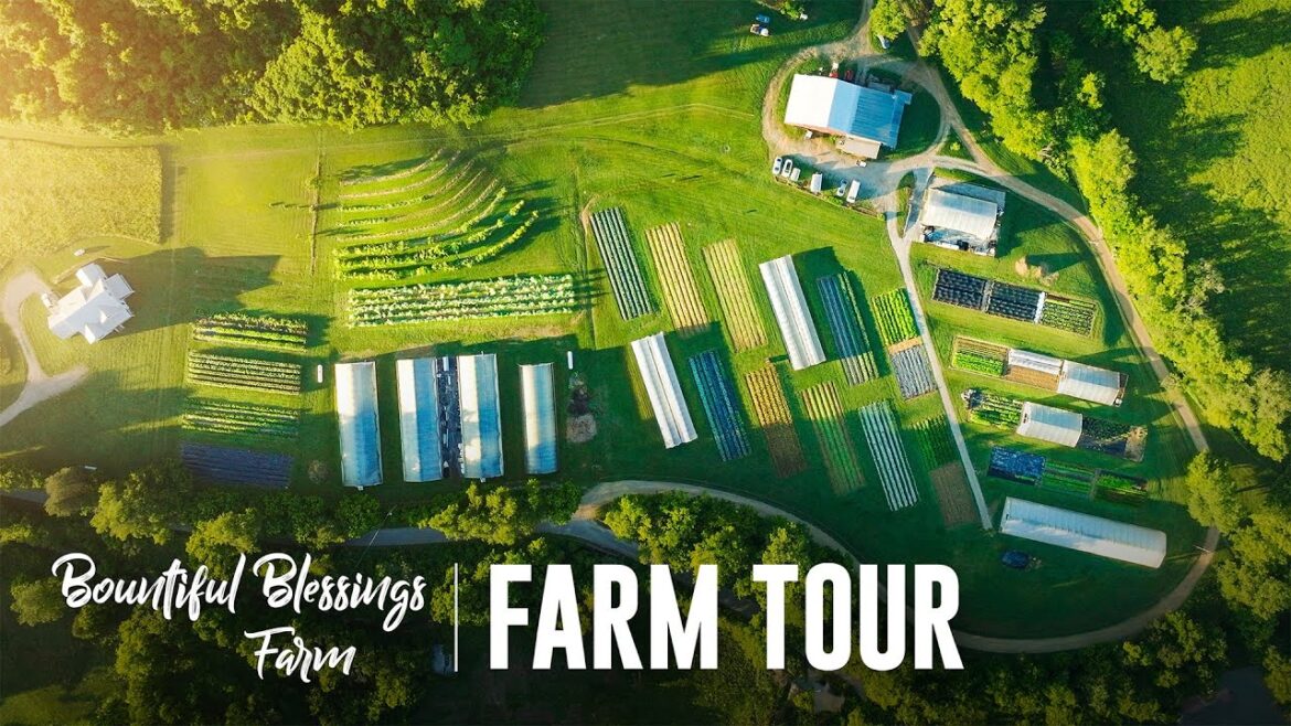 FULL TOUR of the STUNNING Bountiful Blessings Farm in Middle Tennessee FULL TOUR of the STUNNING Bountiful Blessings Farm in Middle Tennessee