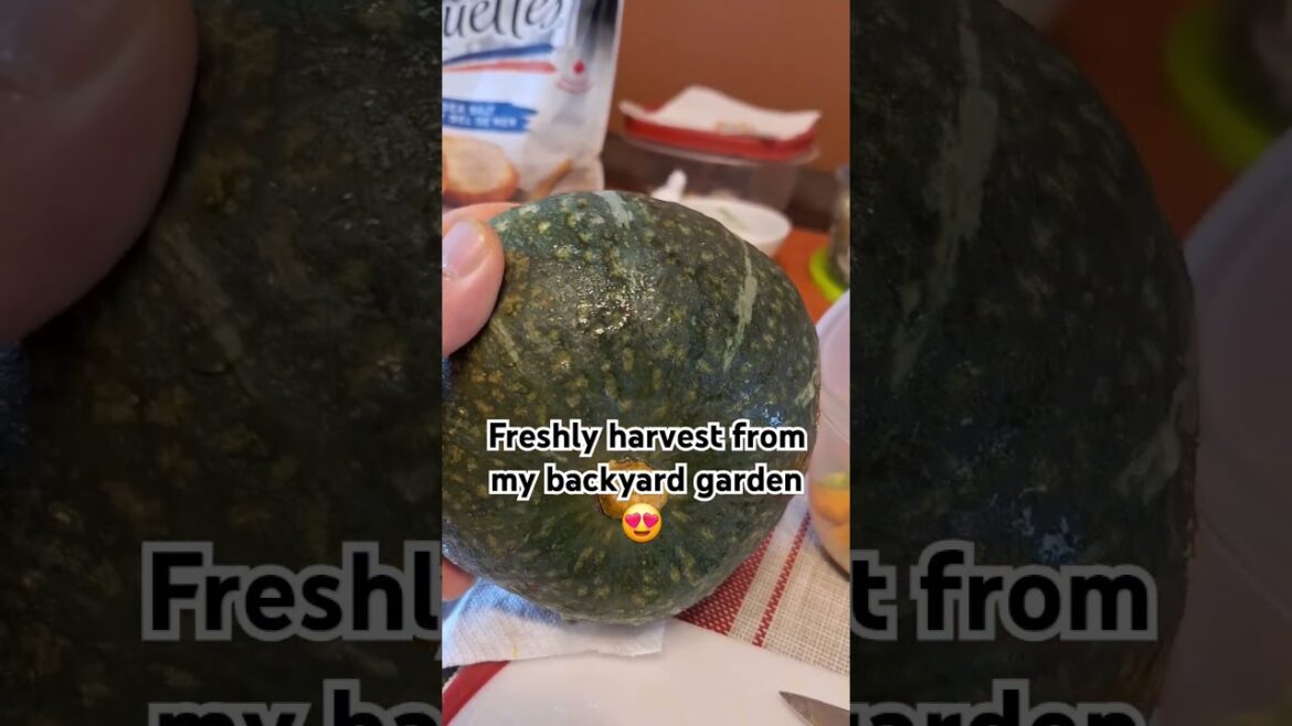 Freshly harvest from my own backyard garden #naturemusic #food #subscribe #pagmayitinanimmyaanihin