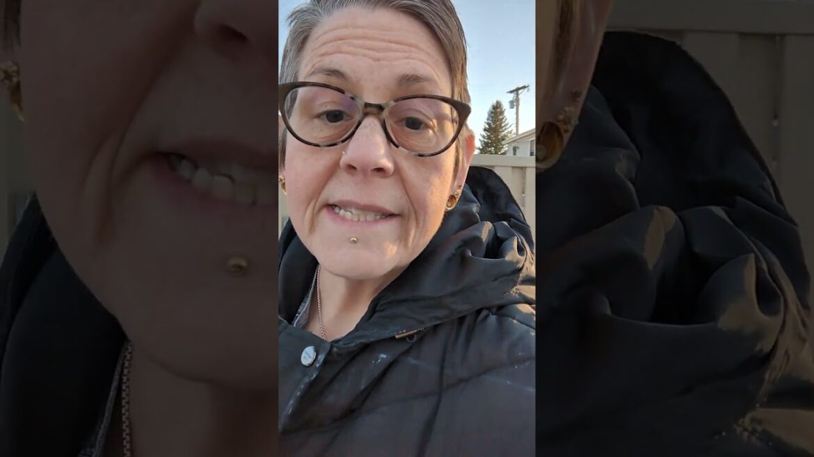 Cattle Panels and Welded Fencing Winter Gardening