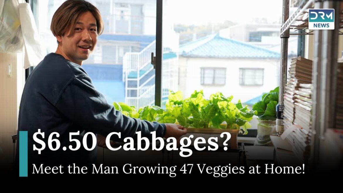 Pandemic Hobby Turns Lifeline Amid Japan’s Soaring Food Costs | AM1G