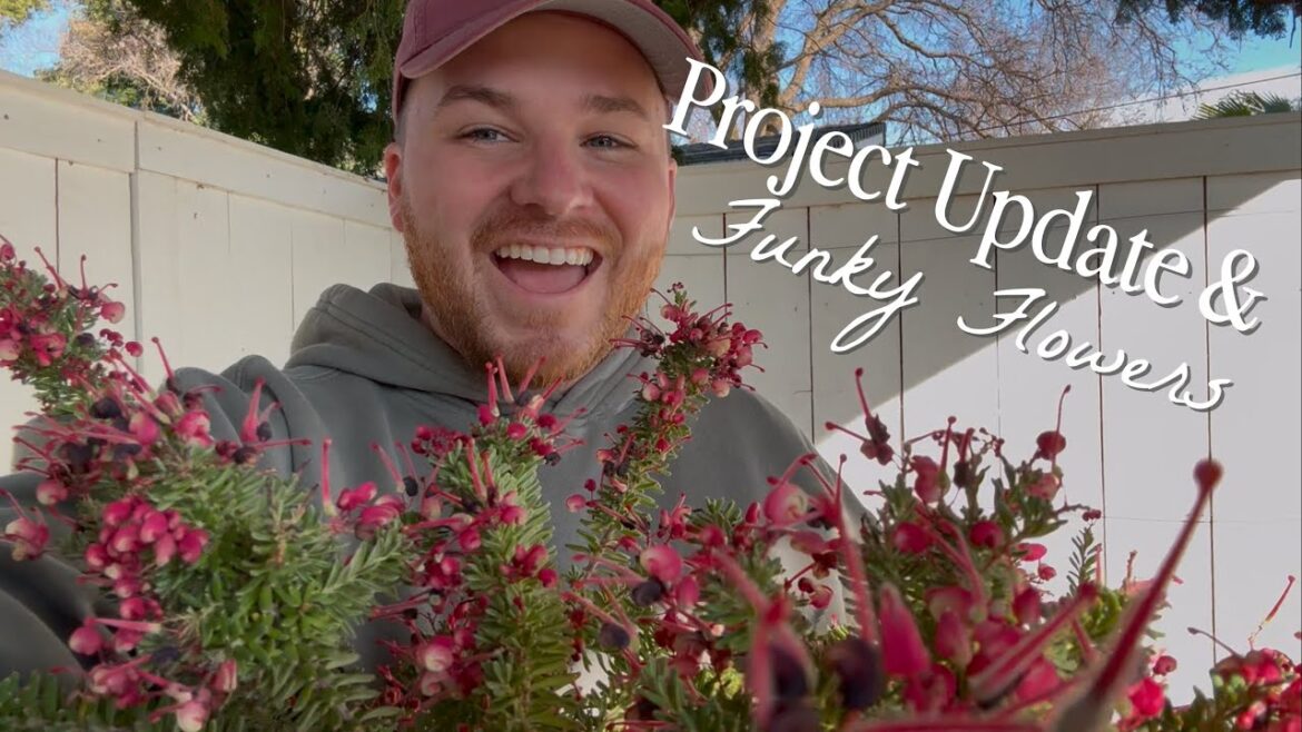 Project Update & Just A Little Winter Planting 🌸 || Visit Our Garden