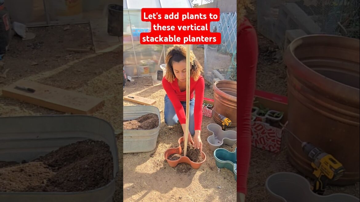 Let's add plants to these vertical stackable planters! 💚 #containergardening #gardening #herbgarden
