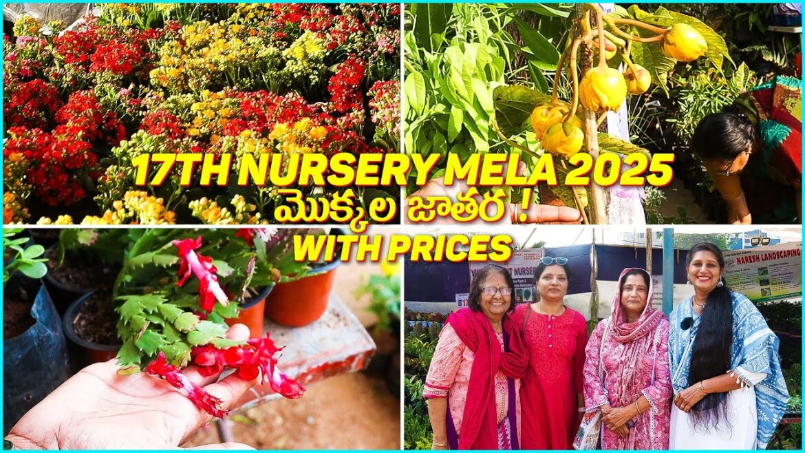 🔴17th Grand Nursery Mela 2025 in Hyderabad | What’s New? | Horticulture Expo With Prices 🔴17th Grand Nursery Mela 2025 in Hyderabad | What's New? | Horticulture Expo With Prices
