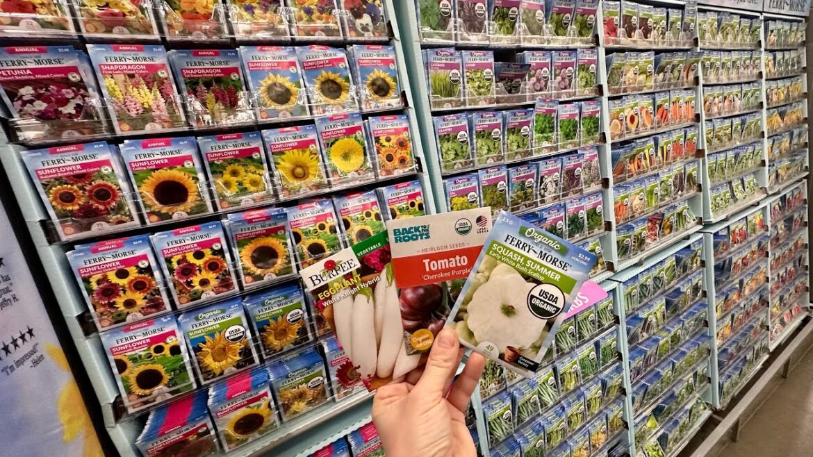 HOME DEPOT 2025 SEED & SEED STARTING SUPPLIES INVENTORY🌱BIG BOX SEED HAUL🛒