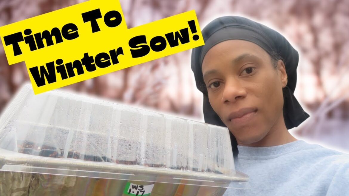 Winter Sowing: The Cheap, Easy Way To Start Seeds Outside Winter Sowing: The Cheap, Easy Way To Start Seeds Outside