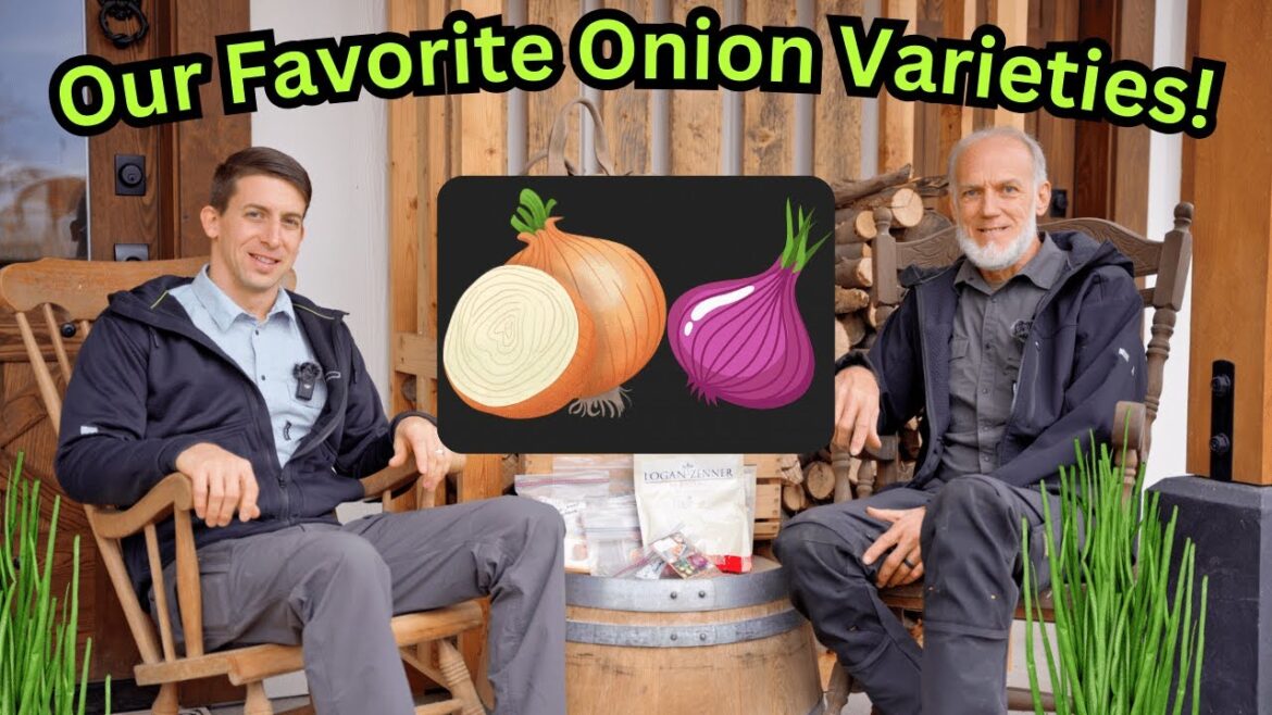 World Record Gardener Shares Favorite Onion Varieties & Top Tips for Growing Them Successfully! ๐ง
๐ฑ World Record Gardener Shares Favorite Onion Varieties & Top Tips for Growing Them Successfully! ๐ง
๐ฑ