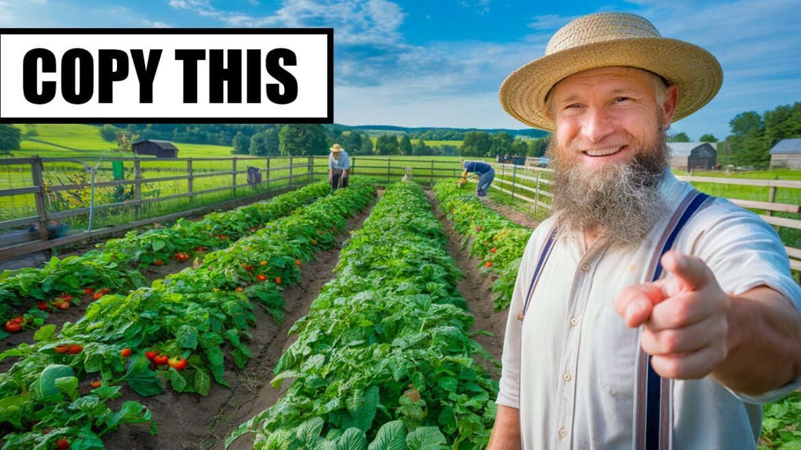 Secret Amish Method for Growing Vegetables TWICE as Fast! Secret Amish Method for Growing Vegetables TWICE as Fast!