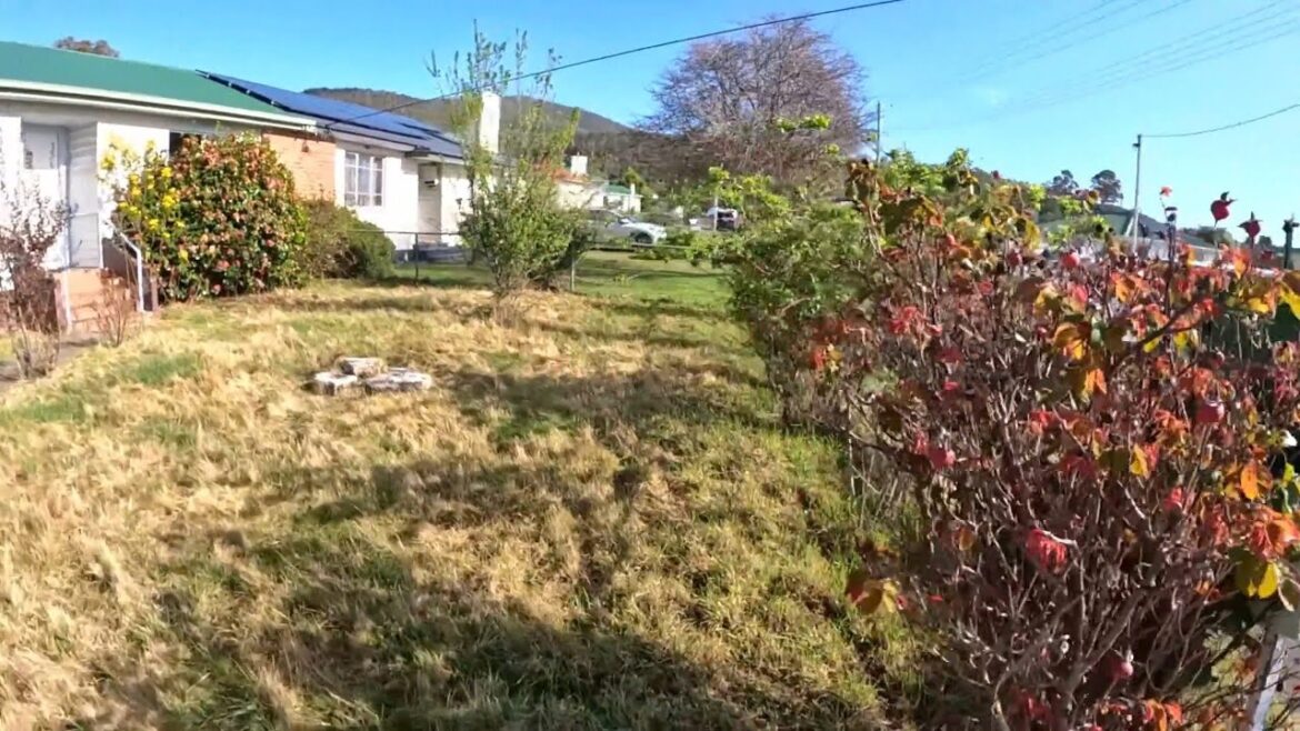 The WORST YARD on the Street? WAIT Until He’s DONE With It! The WORST YARD on the Street? WAIT Until He’s DONE With It!