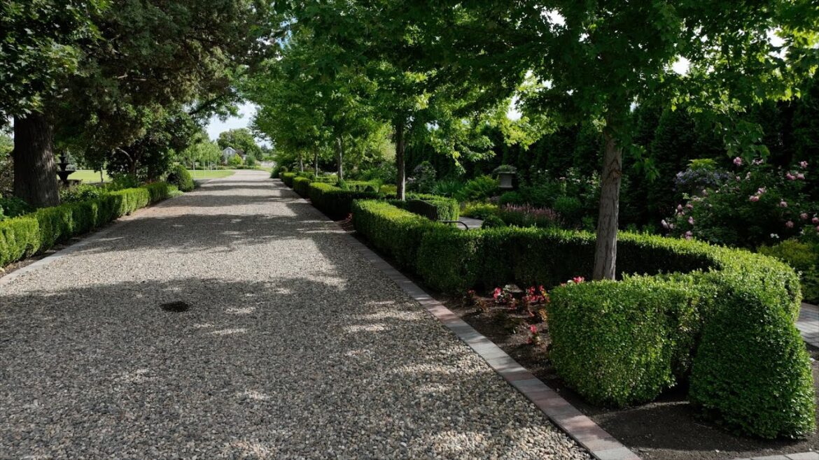 Amazingly Versatile Plants that Thrive in Sun -OR- Shade! 🌿😎🙌 // Garden Answer