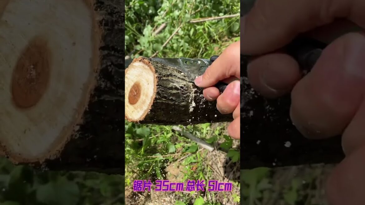 Logging saw Logging saw Japanese saw Logging saw Logging saw Japanese saw