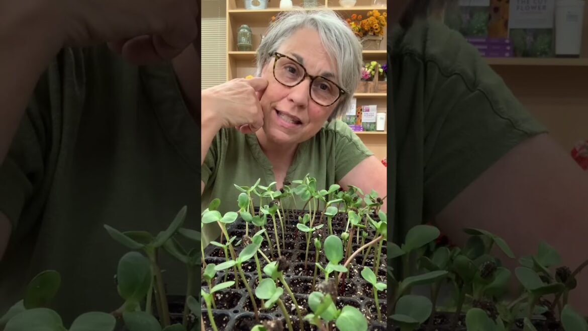 Don’t miss the 20% off coupon code: Take20 Good on the website and phone APP stores! Tools, seeds,