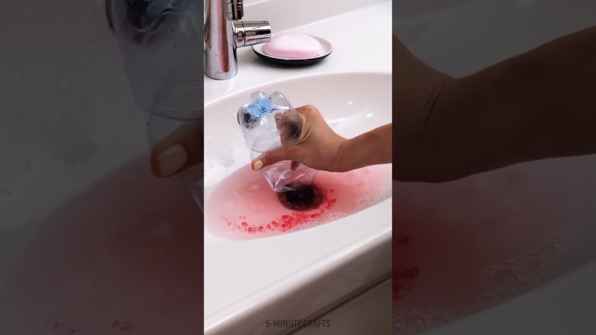 Reuse Plastic Bottles! ♻️💡