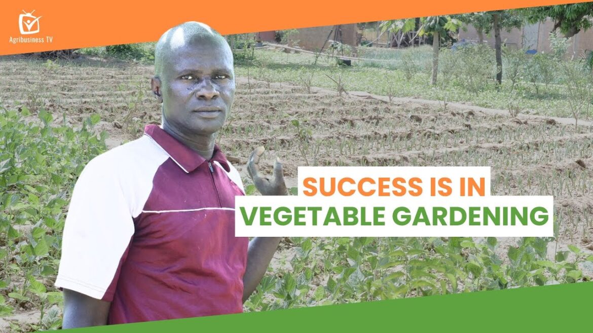 Burkina Faso: Success is in vegetable gardening