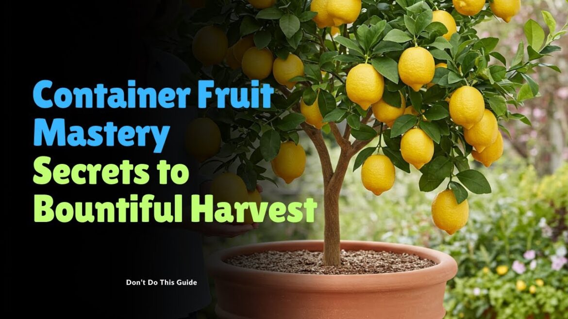 Can You Really Grow Fruit in Containers Without a Garden?
