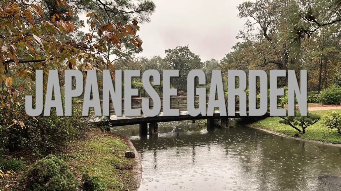 Must visit Hidden Japanese Garden while raining in Herman park #japanese #garden #nature #rain #park