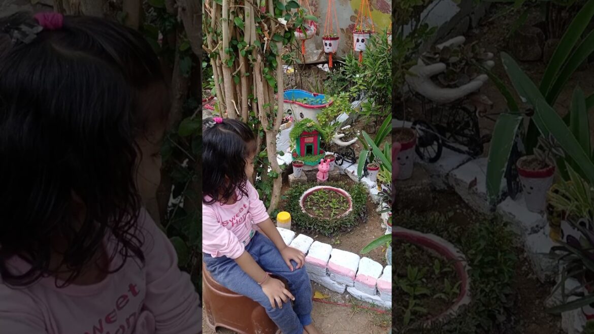 Beautiful Garden🏕️🏡❤️#ideas #gardendecoration Beautiful Garden🏕️🏡❤️#ideas #gardendecoration