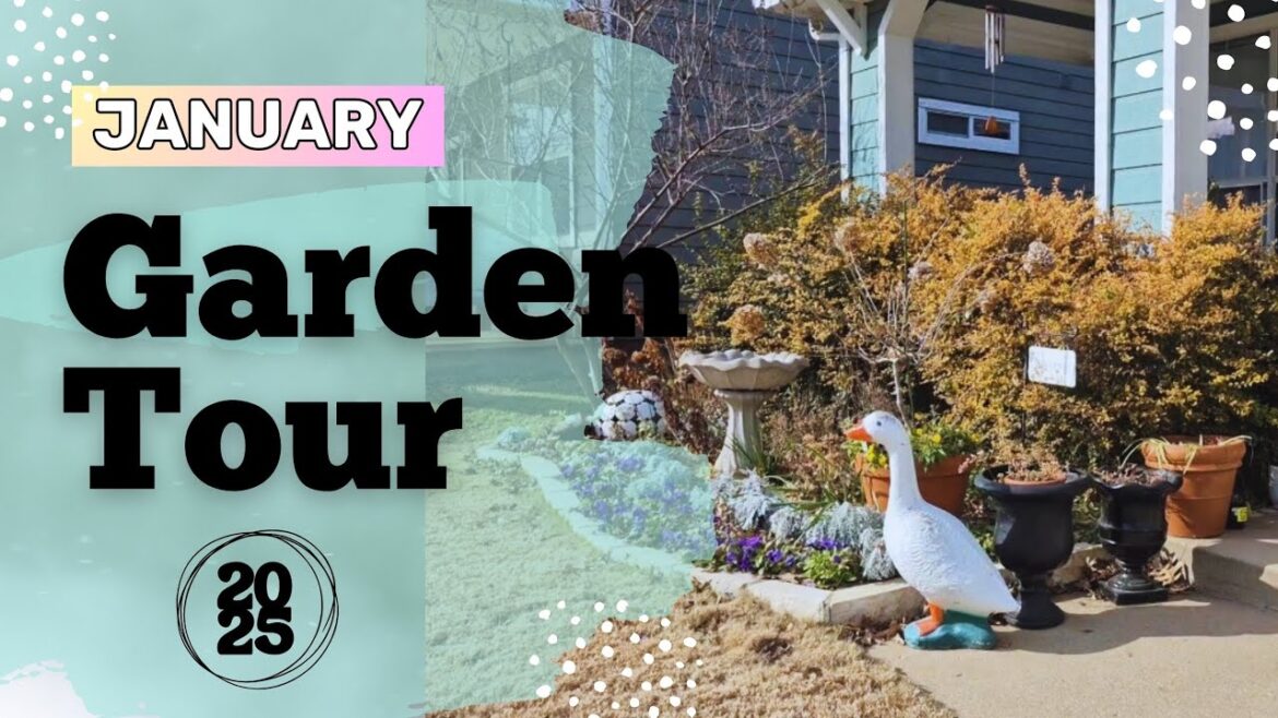 January 2025 Garden Tour - Improving on My Winter Interest! #northtexasgarden
