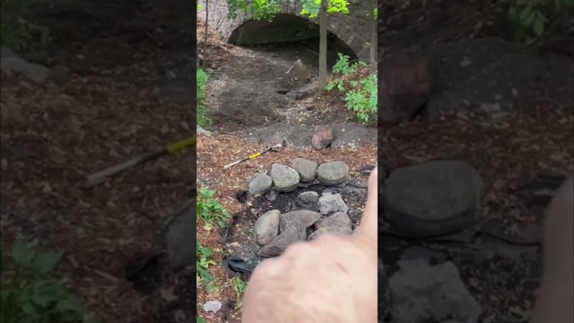 Big Wetland! Stream! Huge Rocks!