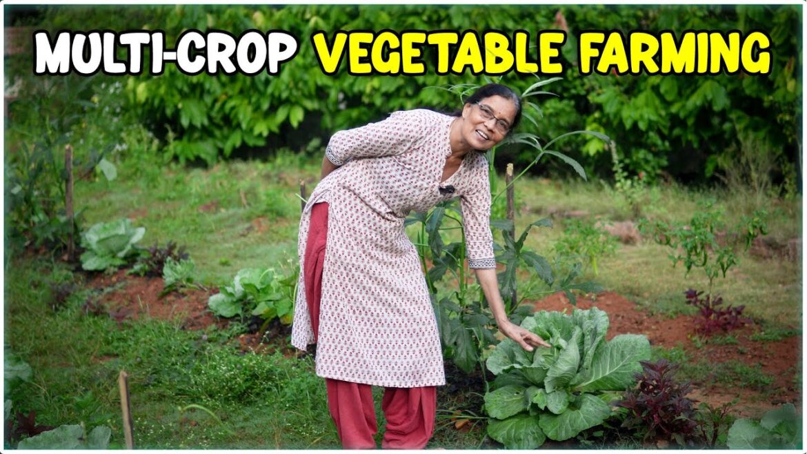 Multi-Crop Vegetable Cultivation | Integrated Farming System Multi-Crop Vegetable Cultivation | Integrated Farming System