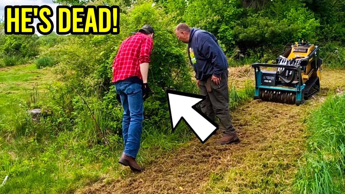 I FOUND HIM DEAD in the OVERGROWN YARD, She was DEVASTATED I FOUND HIM DEAD in the OVERGROWN YARD, She was DEVASTATED