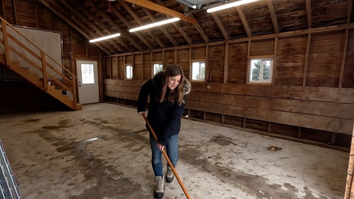 Garden Answer: Moving Bulb Crates Into Heat, Barn Clean Uut, & Harvesting Carrots for a Stew! 🌷💪🥕 // Garden Answer Moving Bulb Crates Into Heat, Barn Clean Uut, & Harvesting Carrots for a Stew! 🌷💪🥕 // Garden Answer