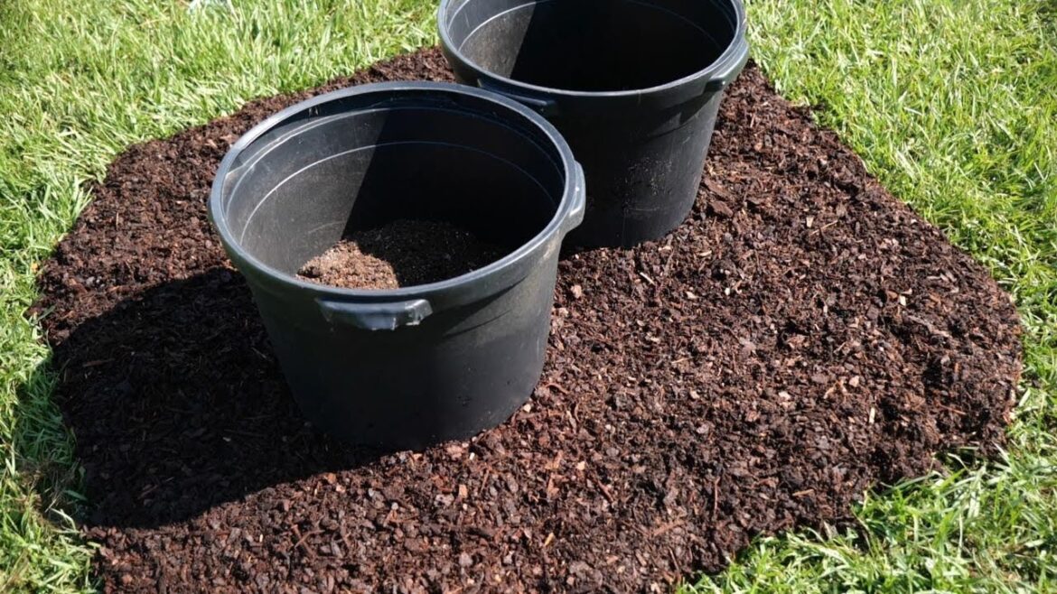 Sustainable School & Home Gardening: How to Install a Container Garden