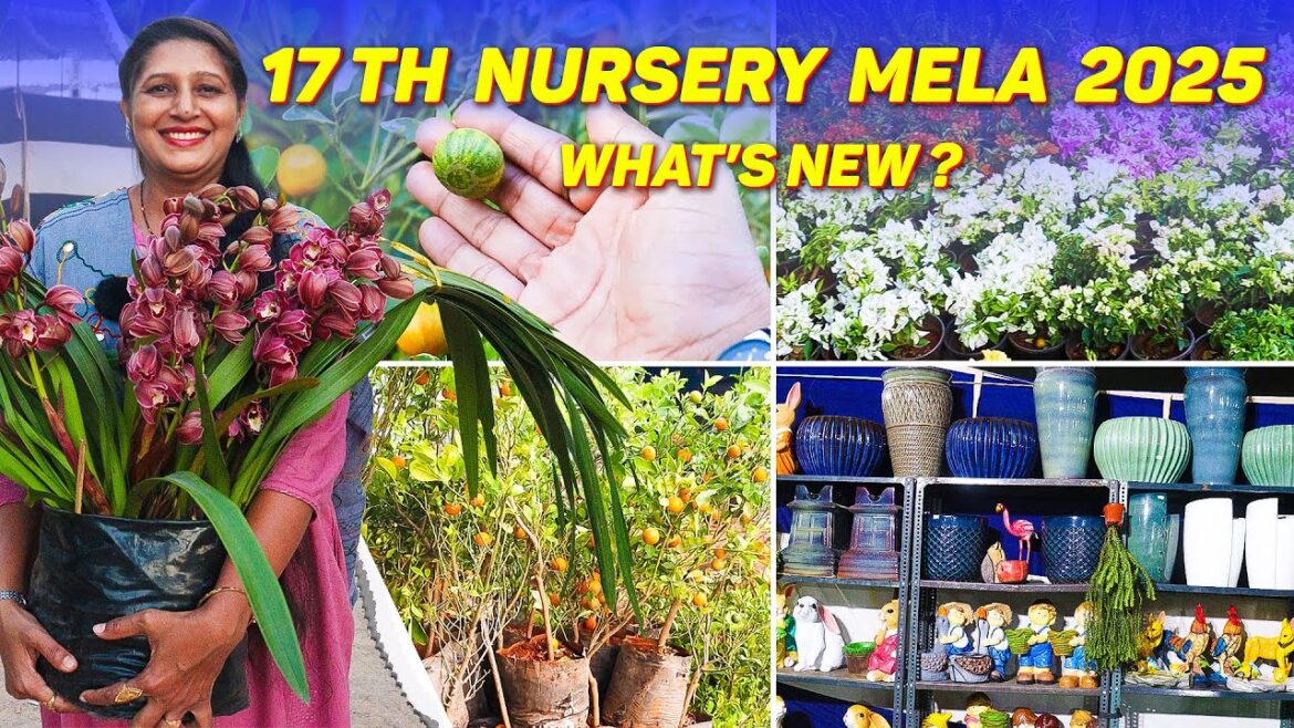🔴17th Grand Nursery Mela 2025 in Hyderabad | What's New? | Horticulture Expo
