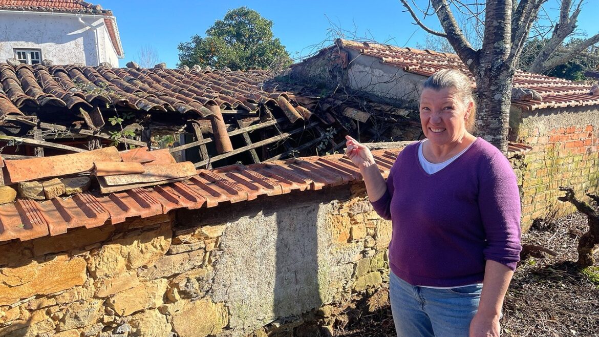 Are We Crazy or Ambitious? Our 2025 Renovation Plans Are We Crazy or Ambitious? Our 2025 Renovation Plans