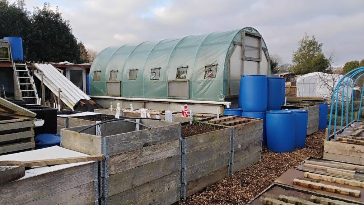 February Tour Of Our Allotments & Growing Spaces  | Gardening  On  A  Budget  #startinganewallotment