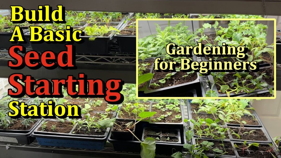 What's Needed to Successfully Start Seeds Indoors on a Budget (An Overview For New Gardeners)