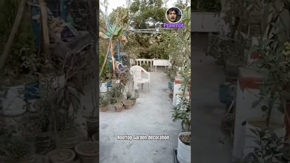 Rooftop garden decor part 1। Garden decorating ideas #shorts #garden #decoration