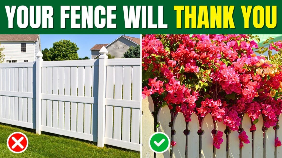 15 Best Plants That Climb on Fences—Say Goodbye to Boring Fences 👋
