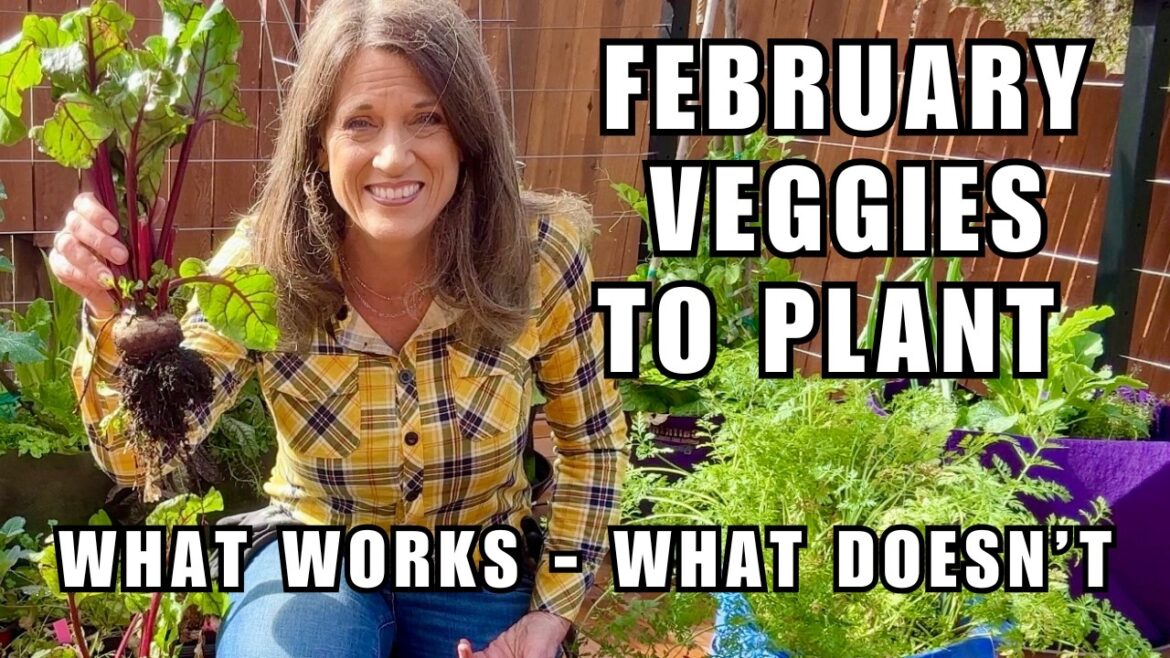 CaliKim: 11 Vegetables to Plant in February: What Works, What Doesn’t 11 Vegetables to Plant in February: What Works, What Doesn’t