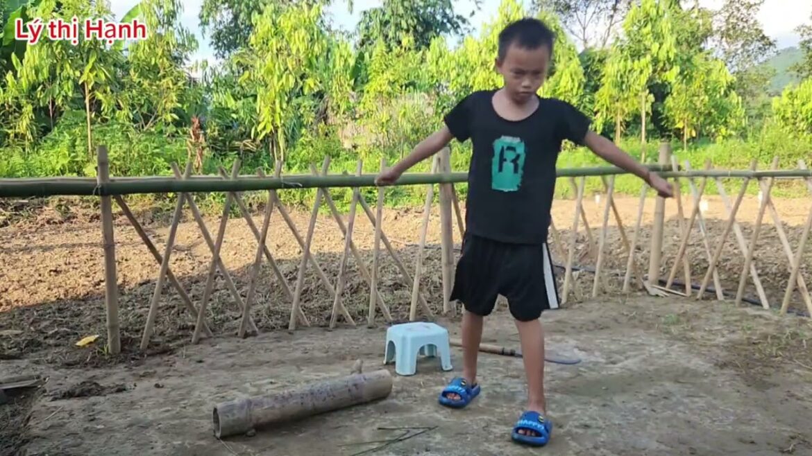 vegetable gardening, a gift from a mysterious person, making a chicken coop, the harshness of nature vegetable gardening, a gift from a mysterious person, making a chicken coop, the harshness of nature