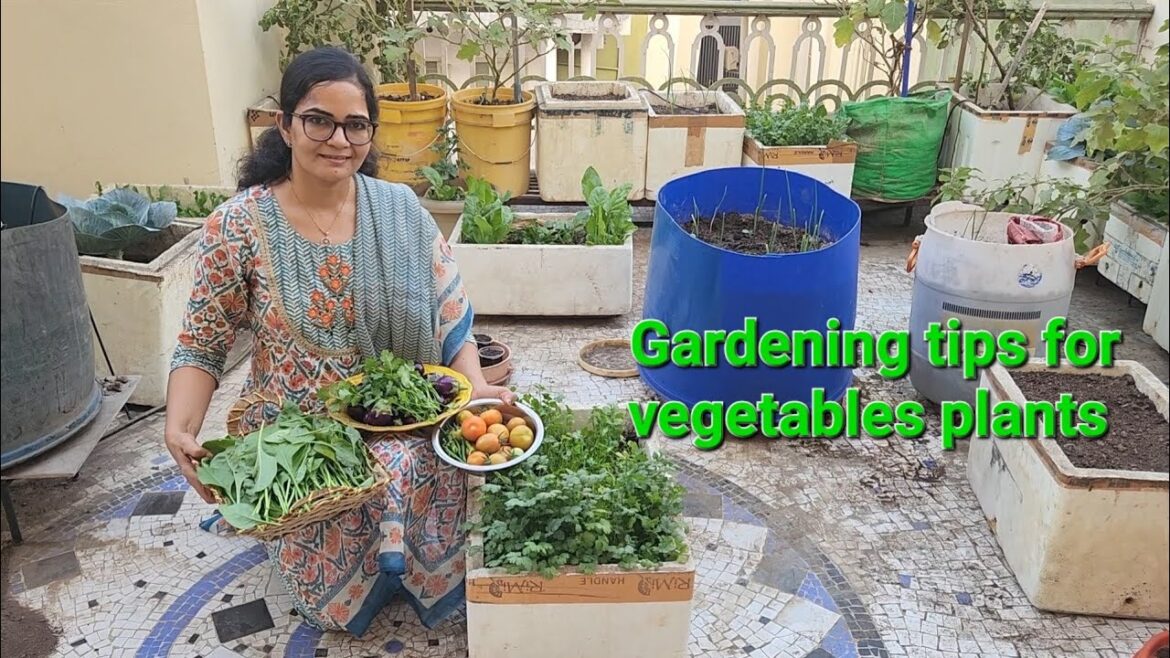 Gardening tips for beginner @Greenleafytales Gardening tips for beginner @Greenleafytales