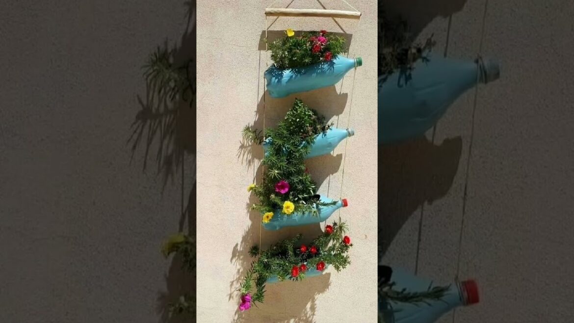 Hanging garden #garden #flowers #rose #gardening #shorts