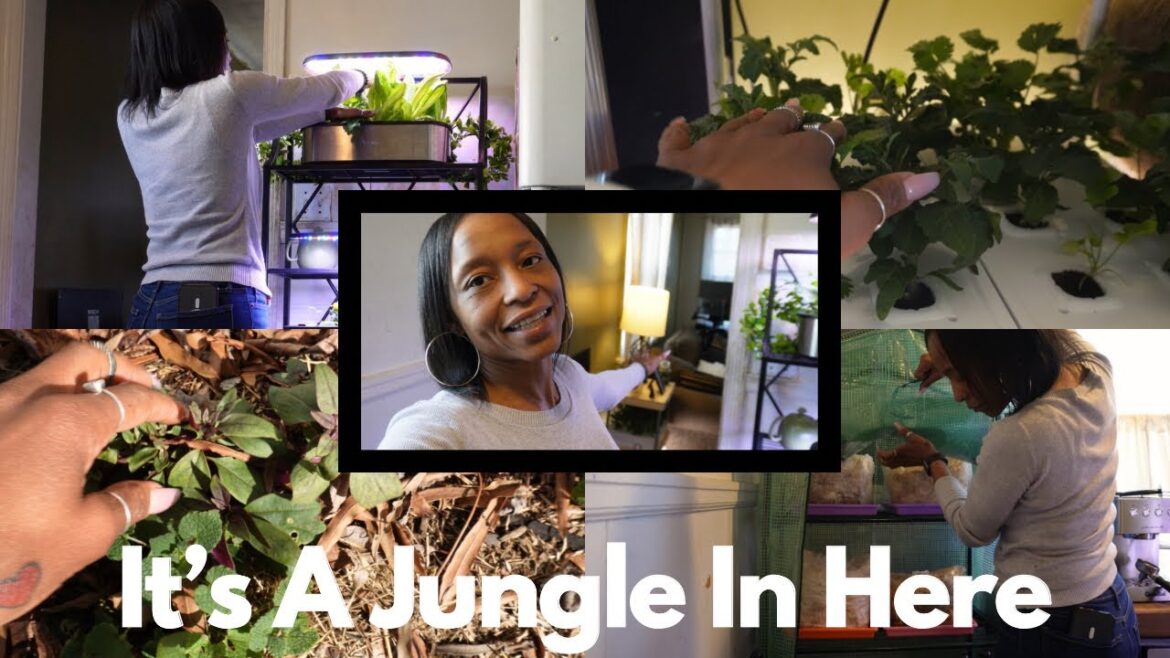 Indoor Updates You've Been Asking For! | Mushrooms, Hydroponics & More | Quail Brooder Cleaning