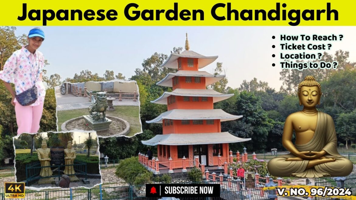 Japanese Garden Chandigarh | Japani Garden Chandigarh | Japanese Park Chandigarh | Angel Sharma Vlog Japanese Garden Chandigarh | Japani Garden Chandigarh | Japanese Park Chandigarh | Angel Sharma Vlog