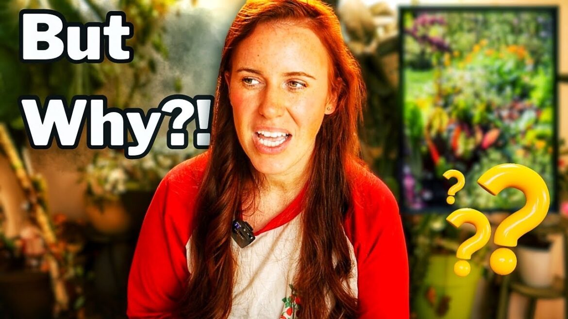 Most Overrated Garden Trends of 2024: A Reality Check Most Overrated Garden Trends of 2024: A Reality Check