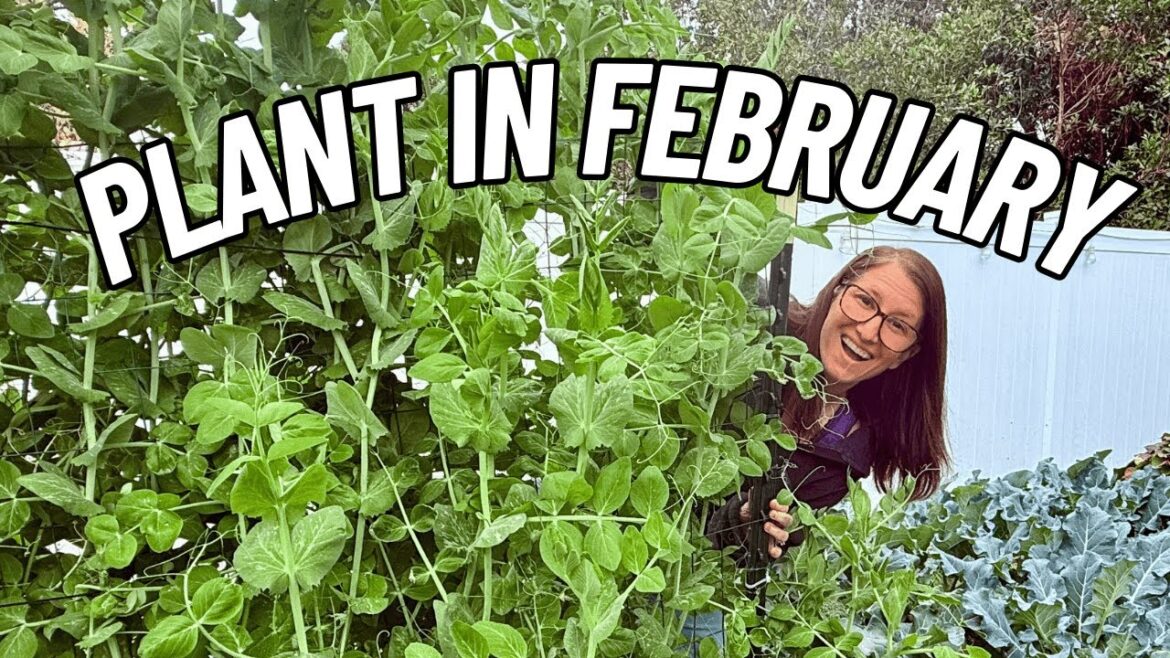 32 Awesome Veggies You Should Plant in February
