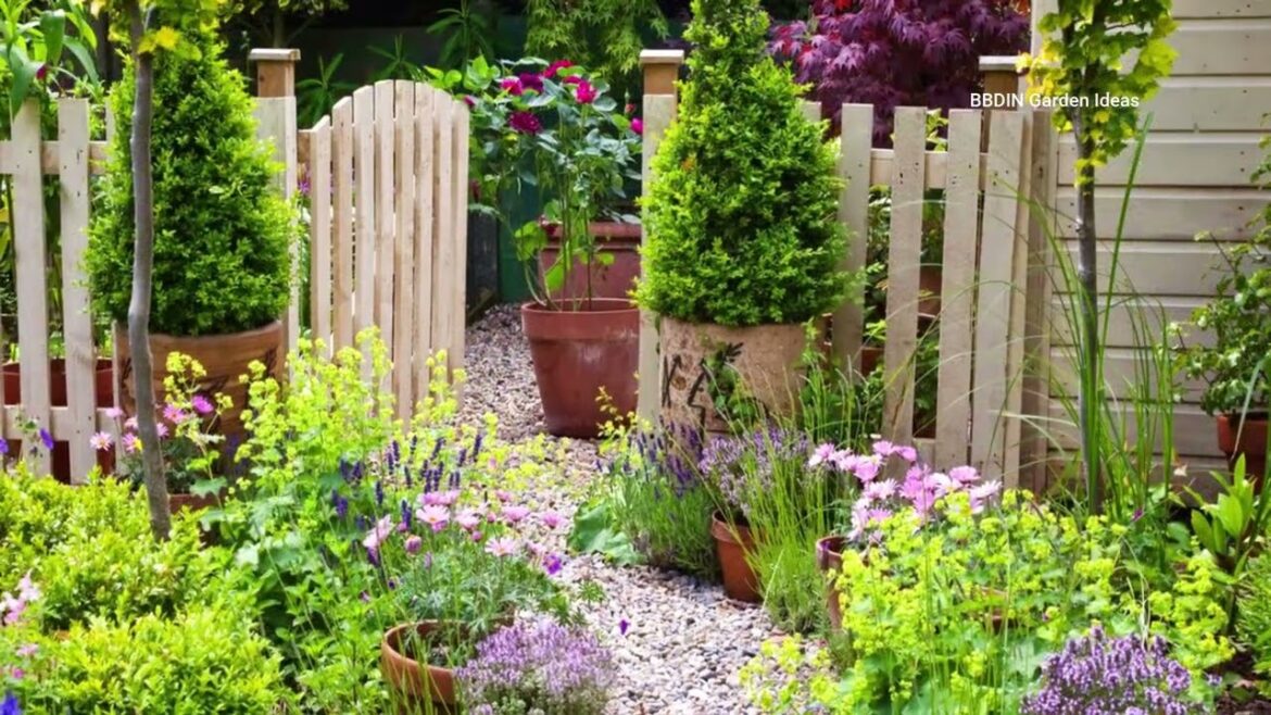 Genius Gravel & Stone Garden Ideas for a Stunning Backyard Makeover!
