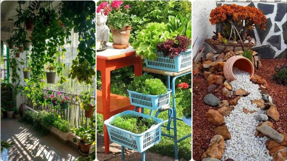 garden design,small garden,garden ideas,garden,small garden design,garden design ideas,small garden garden design,small garden,garden ideas,garden,small garden design,garden design ideas,small garden