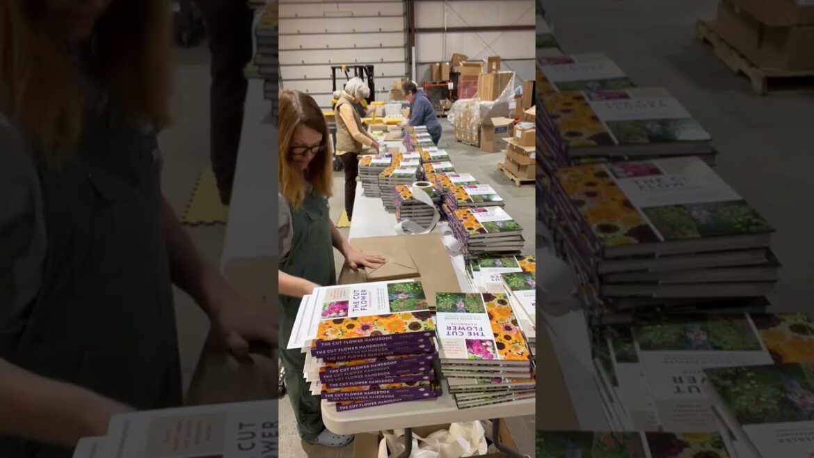 Today is the day!! Special inside the APP ONLY Comment APP and I’ll DM the link to get inside!!! Today is the day!! Special inside the APP ONLY Comment APP and I’ll DM the link to get inside!!!