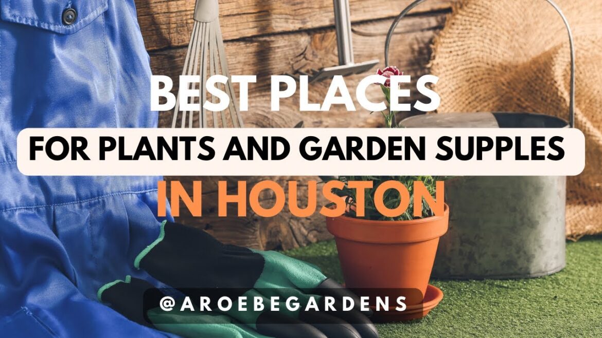 Best Places to Buy Plants and Garden Supplies in Houston Texas| Plant stores |Houston Gardener Best Places to Buy Plants and Garden Supplies in Houston Texas| Plant stores |Houston Gardener