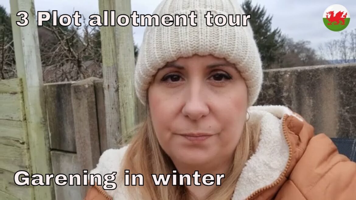 See My 3 Allotment Plots! 🌾 Gardening Tour & Plans – Feb 2025