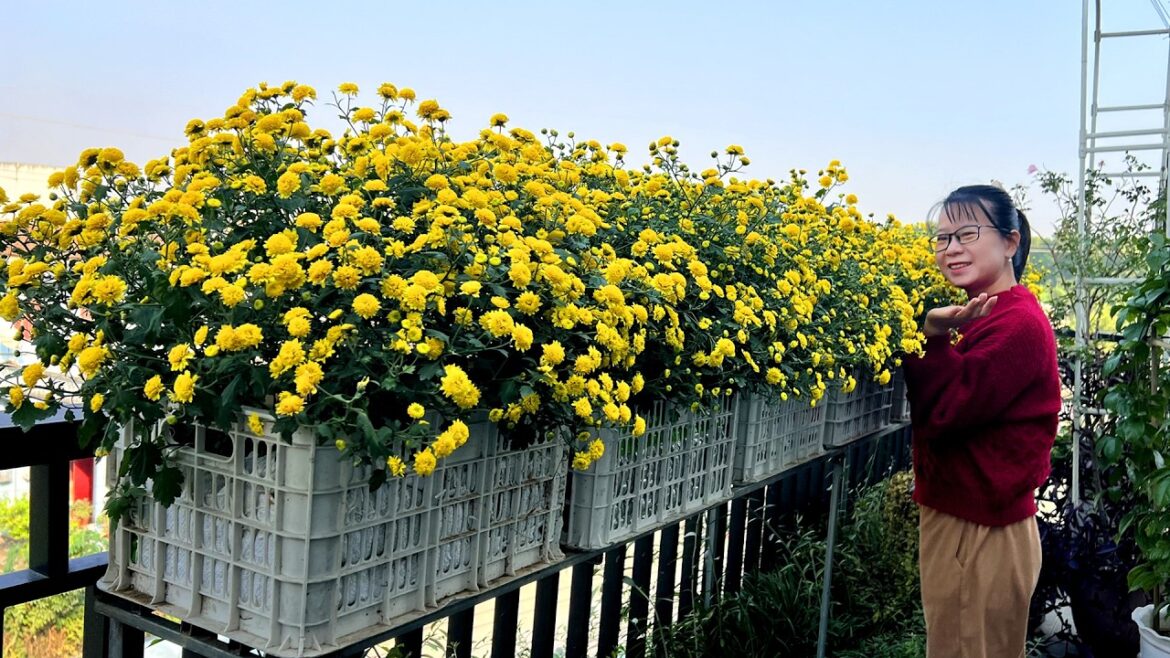 Here are garden design ideas to suit any landscape for your garden